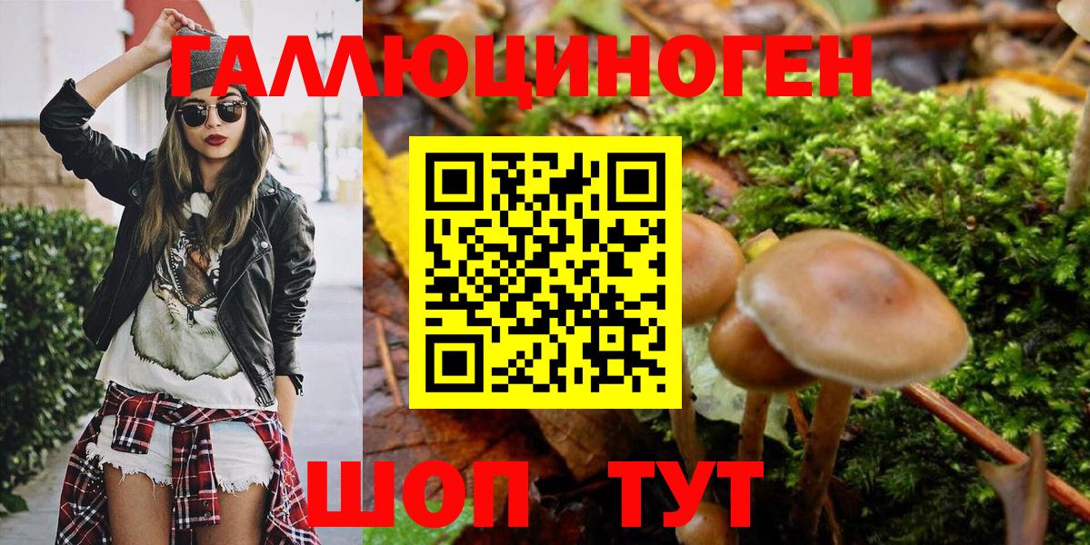 Галлюциногенные грибы MAGIC MUSHROOMS  купить   Вход с VPN  Мурманск  Псилоцибиновые грибы Magic Shrooms 